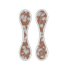 Large Silhouette Floral OliClip