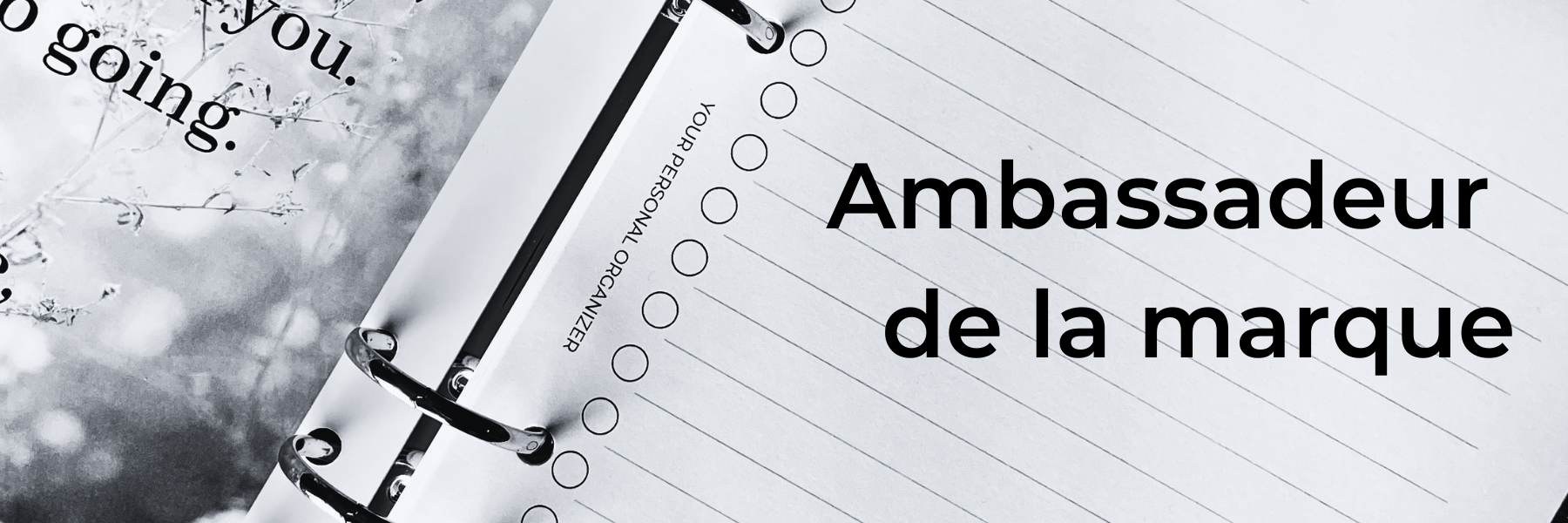 Ambassadeur de la marque